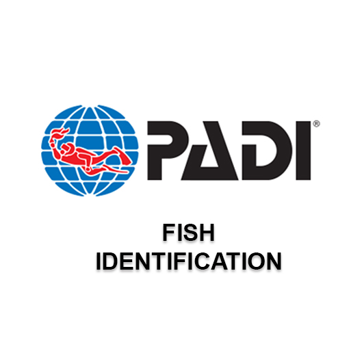 AWARE - FISH IDENTIFICATION